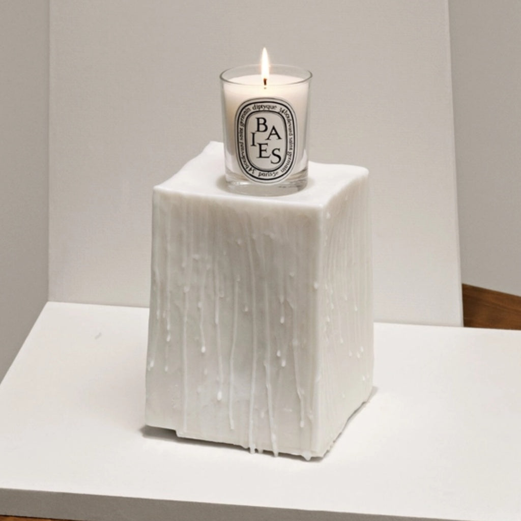 Baies/Berries Candle